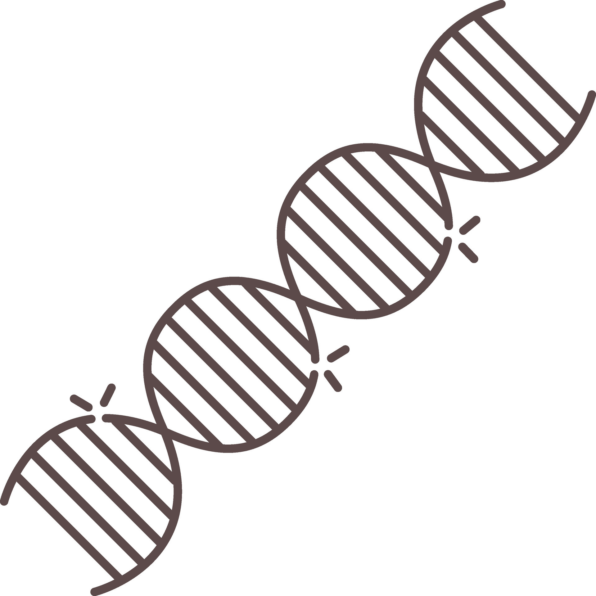 Astonishing Discovery: The Enzyme That Fixes Broken Dna - dj3bn07