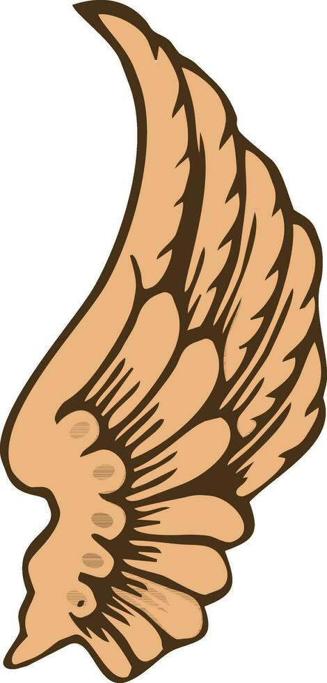 Brown color eagles wing. vector