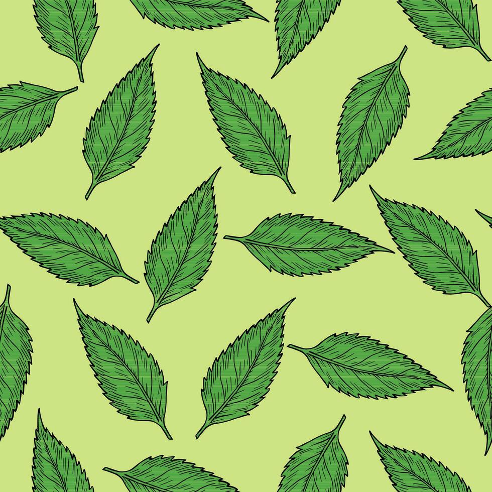 Seamless Background of leaves on green background vector
