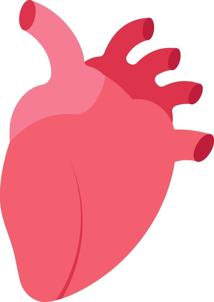Flat Human Heart Structure Icon In Red Color. vector