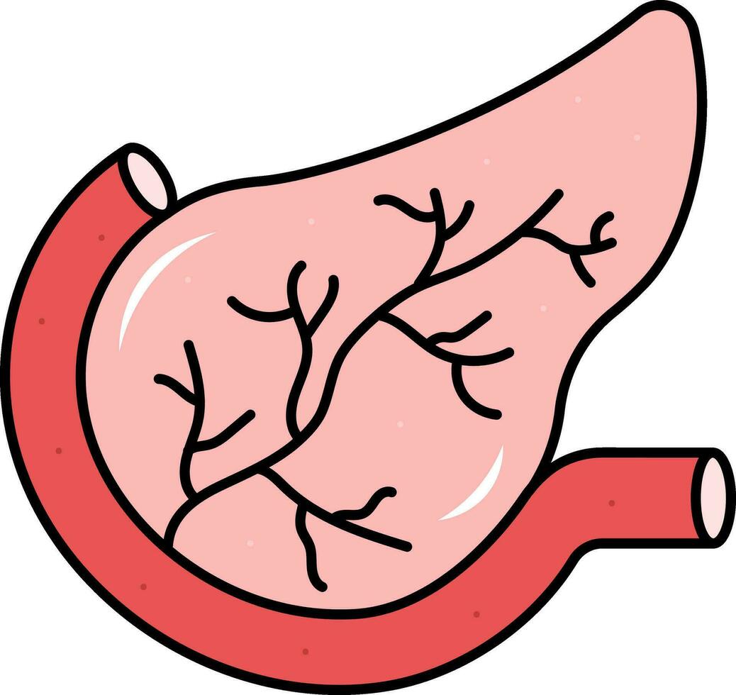 Flat Illustration Of Pancreas Anatomy Red Icon. vector