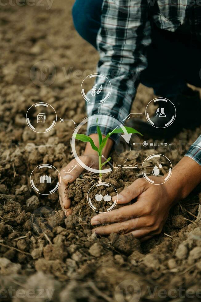 mujer da lechuga de jardinería en la granja con proceso de crecimiento y fórmula química sobre fondo verde. con icono foto