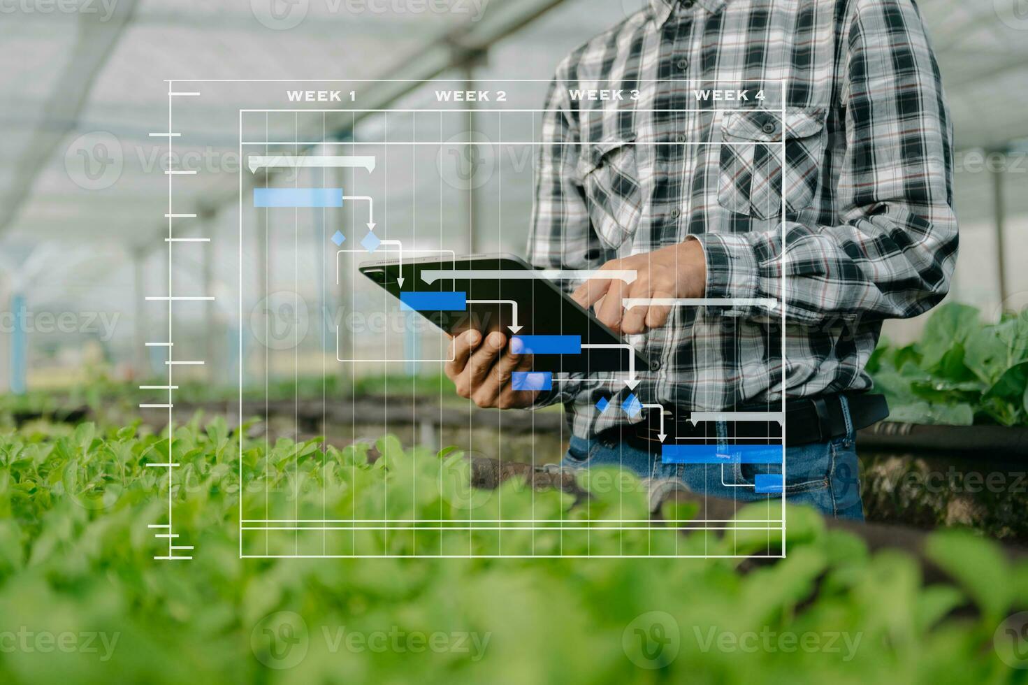 Agriculture technology farmer woman holding tablet or tablet technology to research about agriculture problems analysis data and visual icon.Smart farming photo