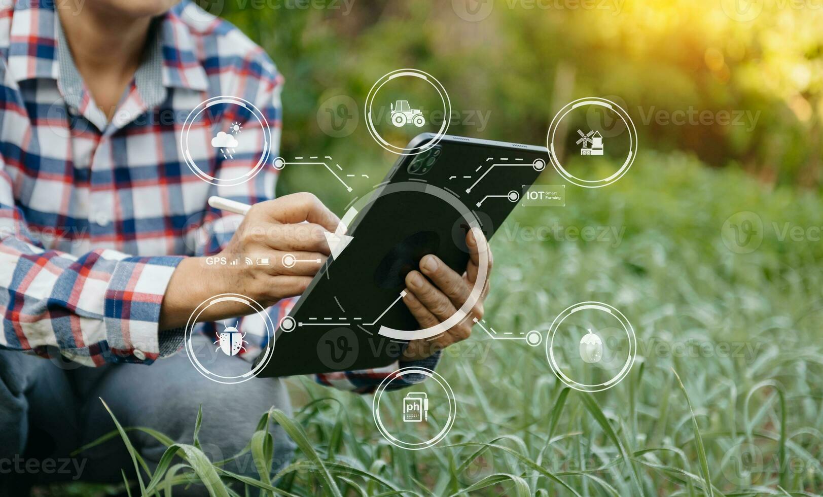 Woman hands gardening lettuce in farm  with growth process and chemical formula on green background. With VR icon photo