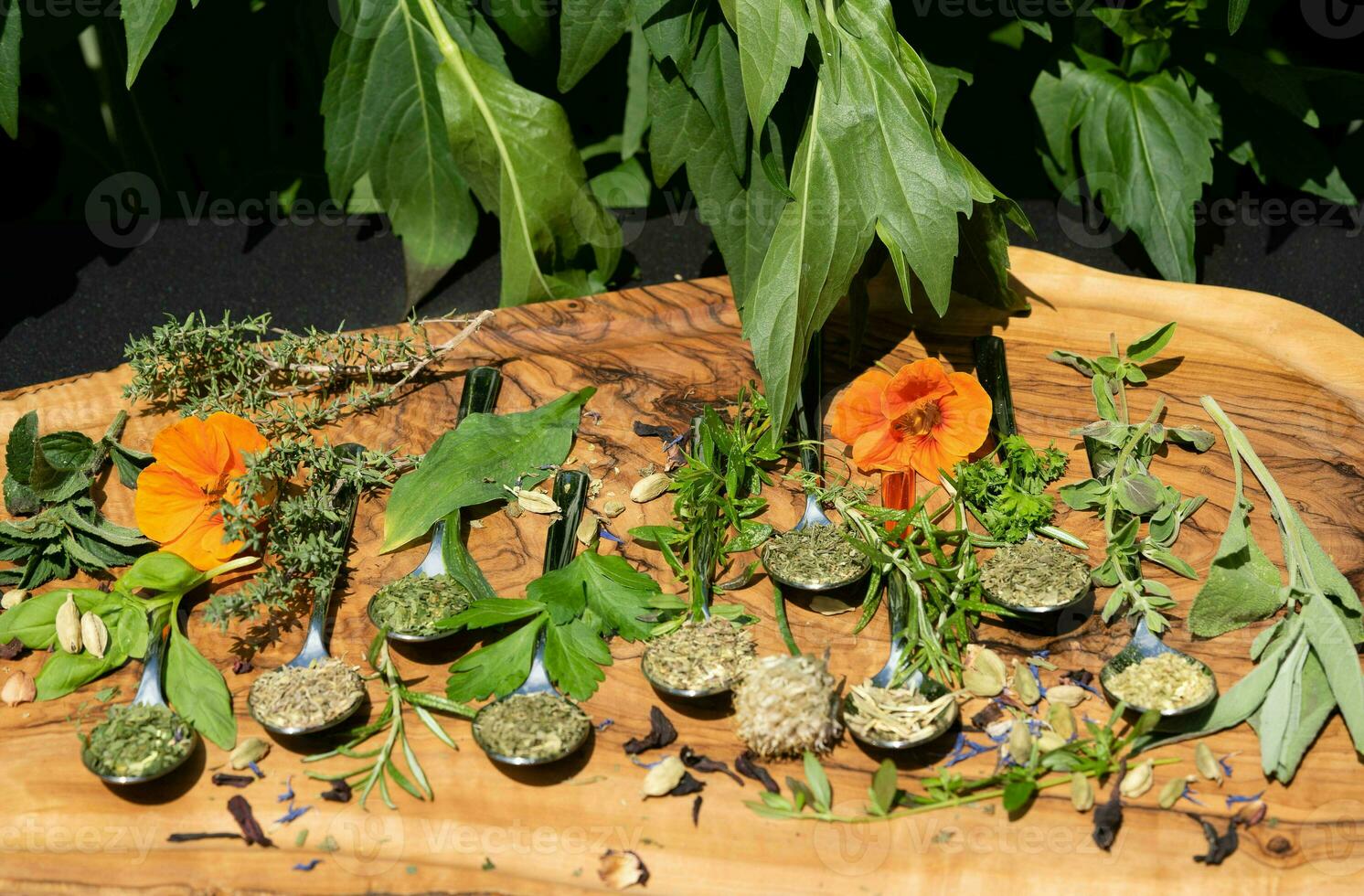fresh and dried herbs and spices from all over the world photo