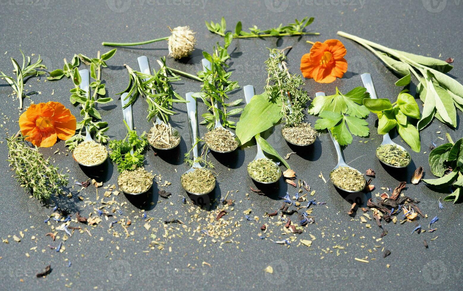 fresh and dried herbs and spices from all over the world photo