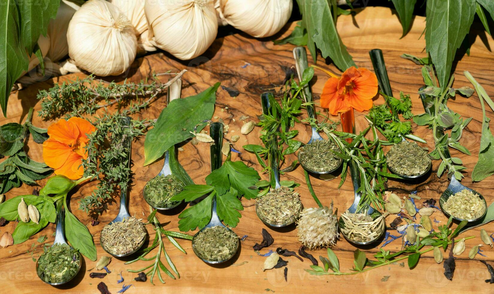 fresh and dried herbs and spices from all over the world photo