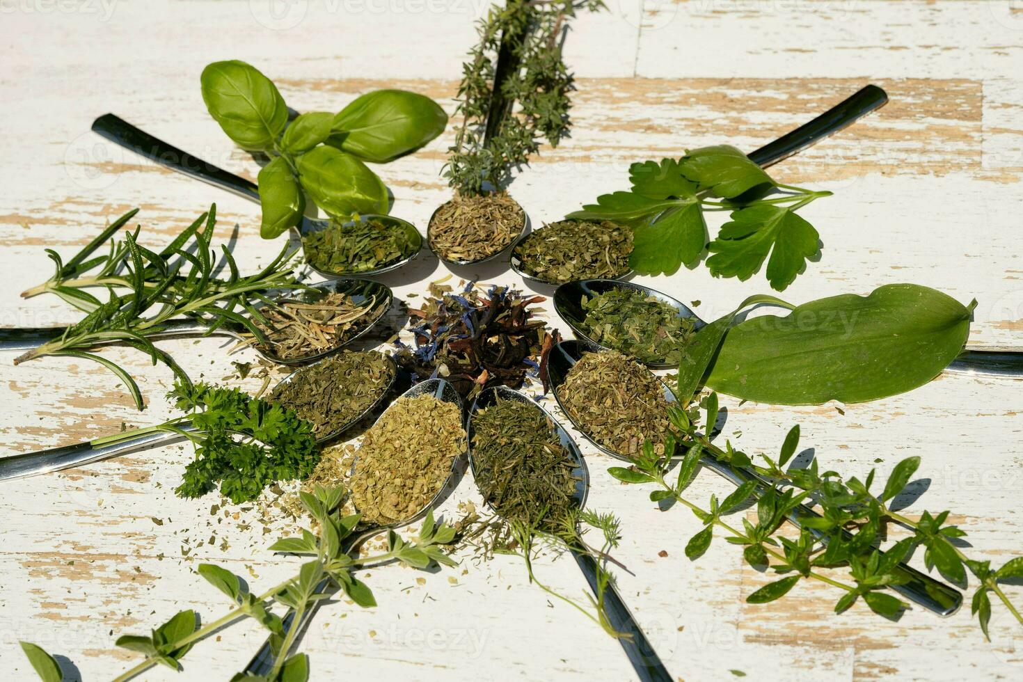 fresh and dried herbs and spices from all over the world photo