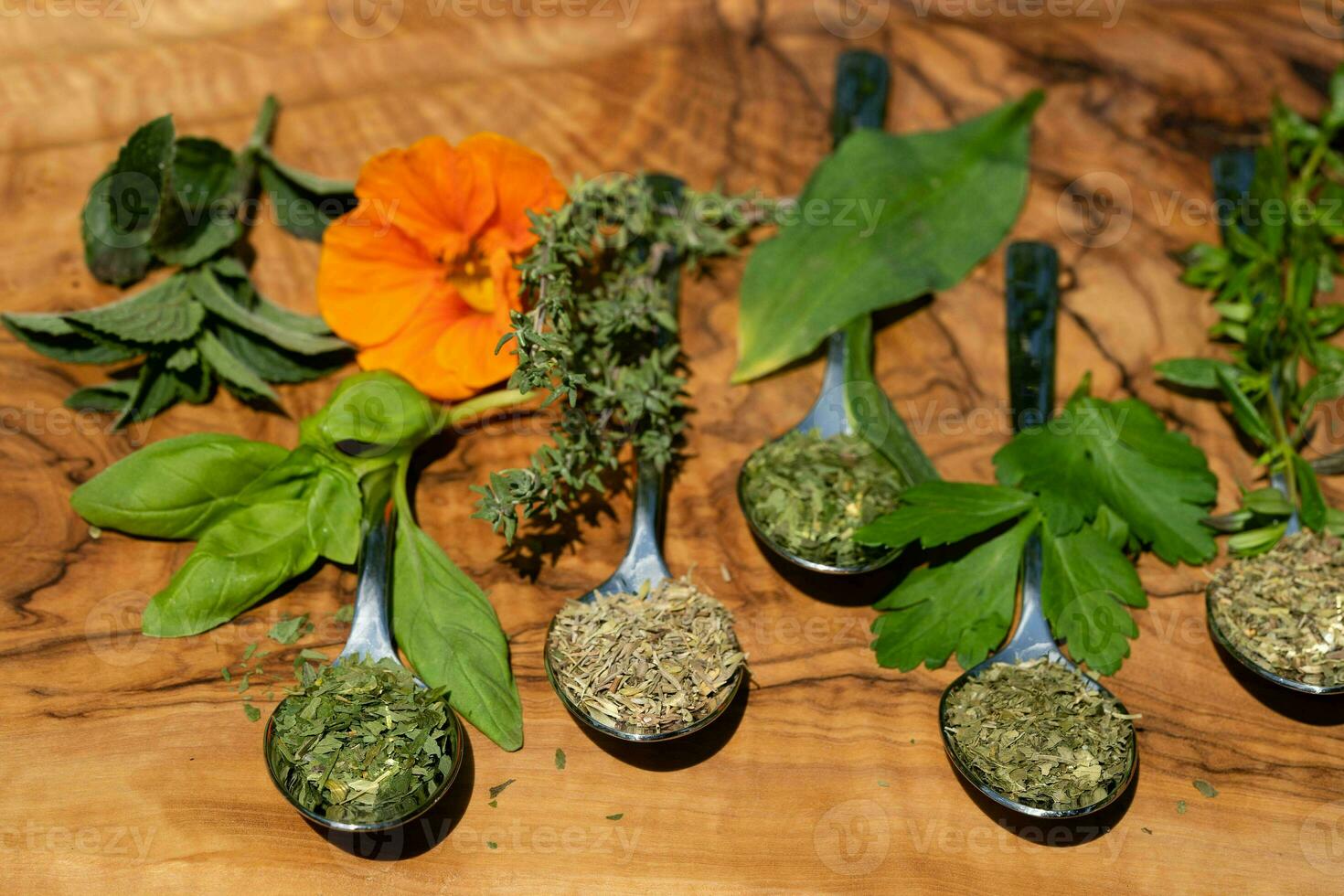 fresh and dried herbs and spices from all over the world photo