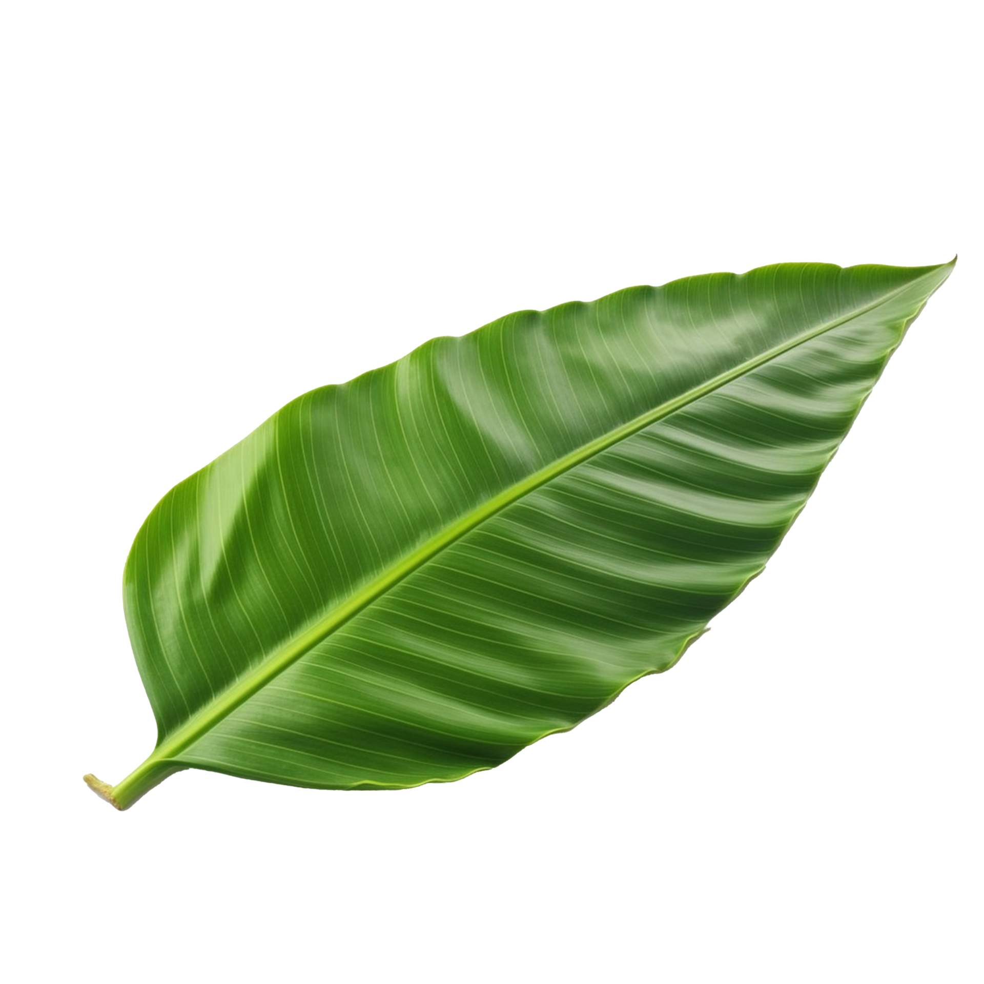 Banana Leaf isolated on background with Generative AI 24955791 PNG