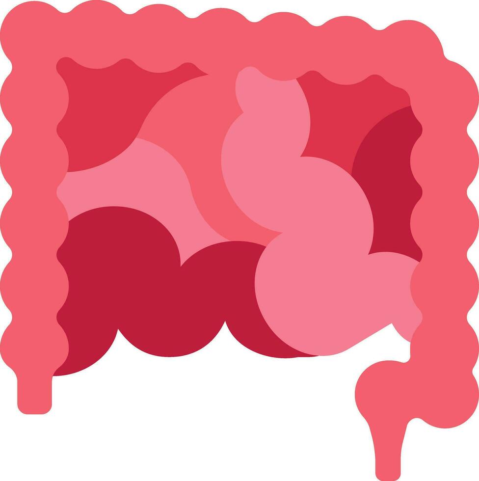 Flat Illustration Of Intestine Anatomy Red Icon. vector