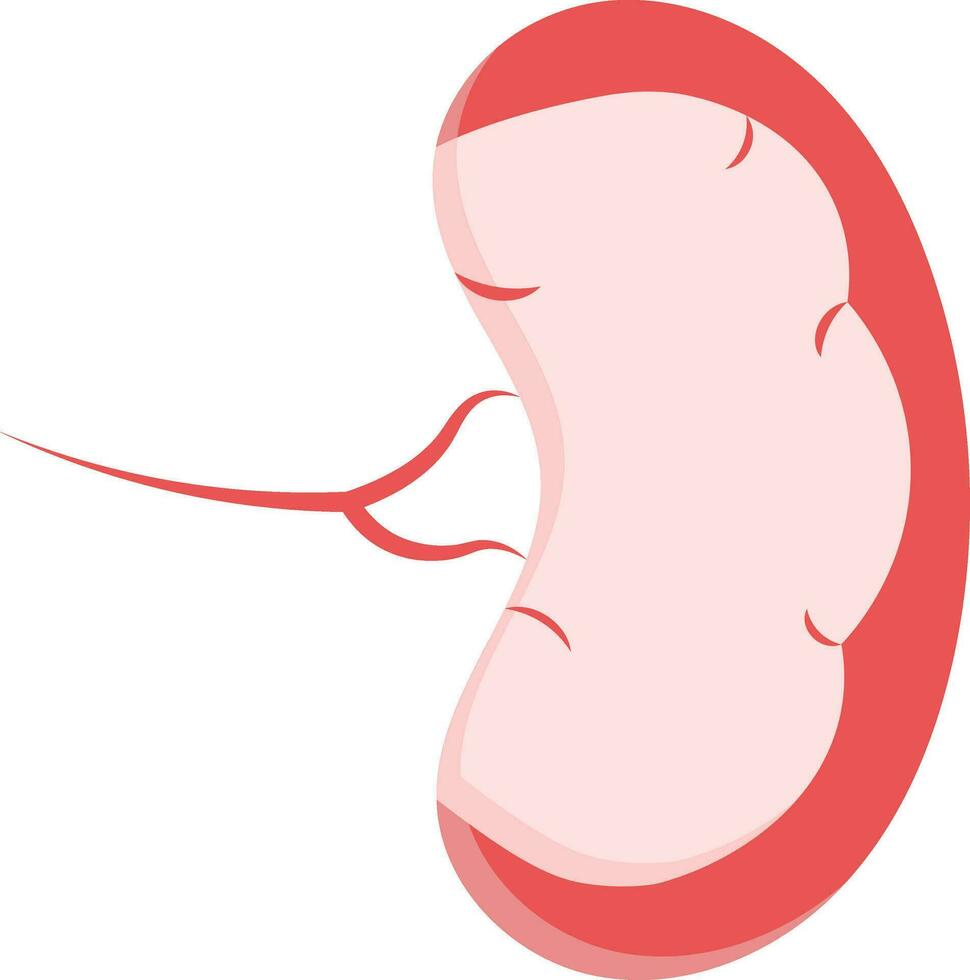 Flat Style Spleen Structure Icon In Red Color. vector