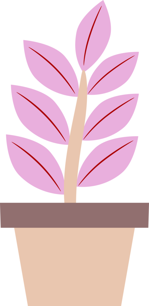 illustration of a plant in a pot. plants with colored leaves. free png