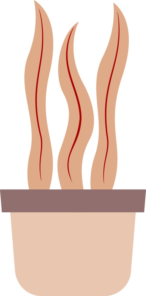 illustration of a plant in a pot. plants with colored leaves. free png