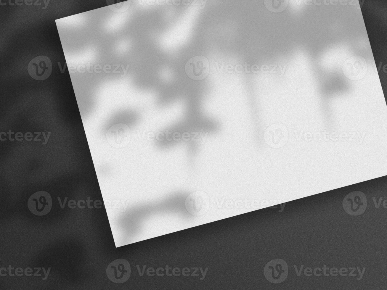 Paper mockup with shadow photo