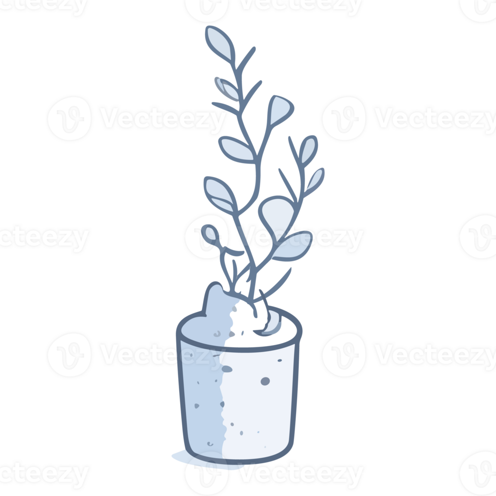 Illustration of a vase with a plant in a flat style png