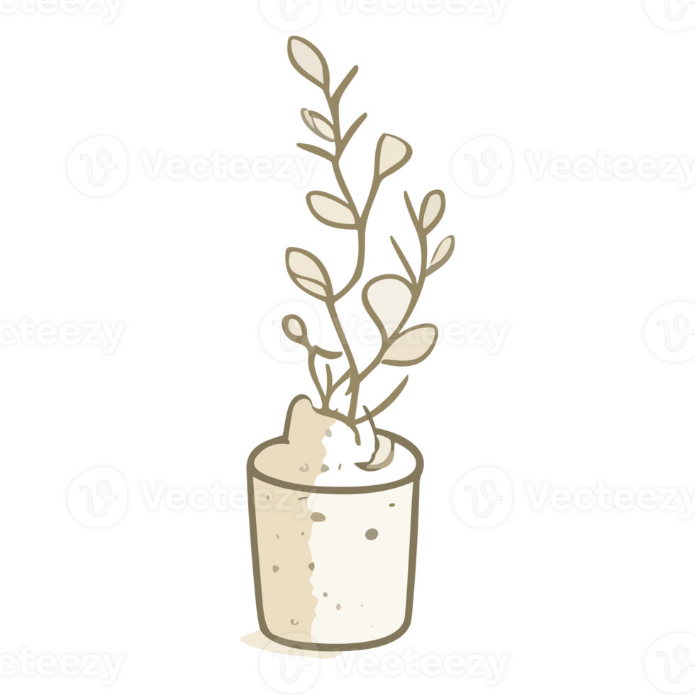 Illustration of a vase with a plant in a flat style png