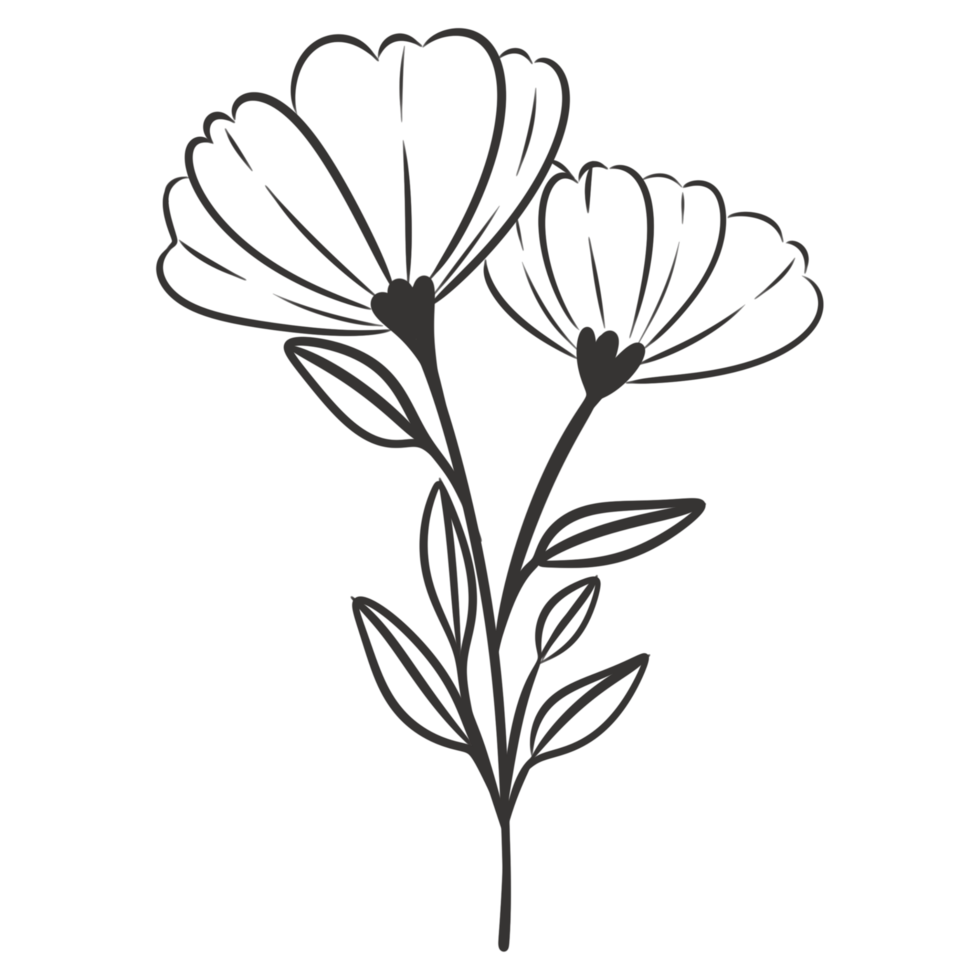 Flower line silhouette for decorations. png