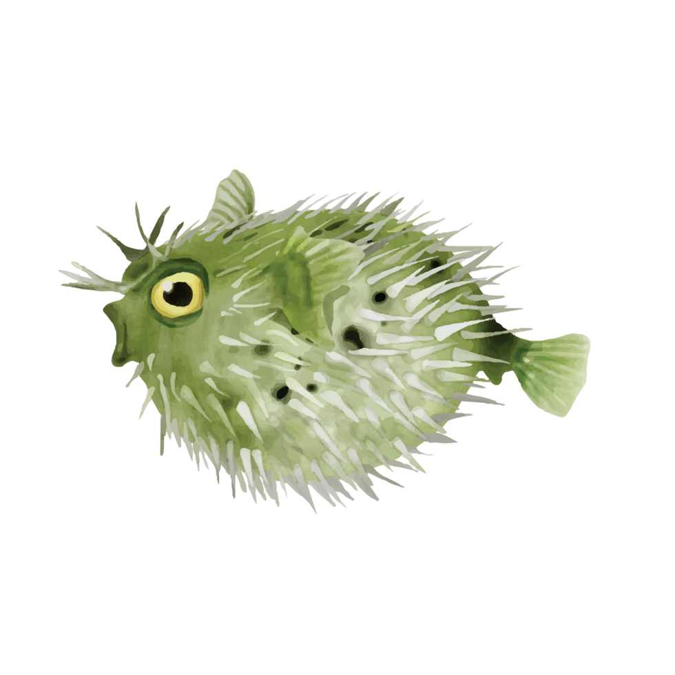 sea life watercolor sticker collection png