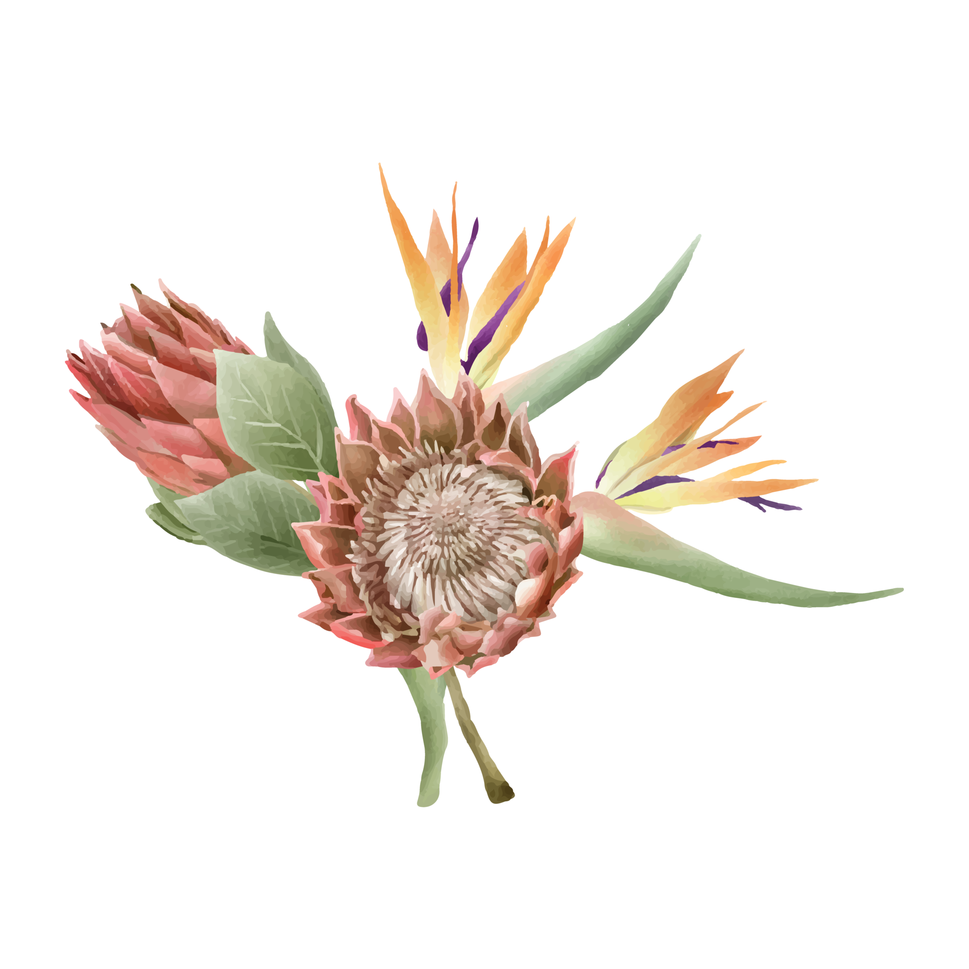 hand-drawn-tropical-floral-sticker-collection-24959907-png