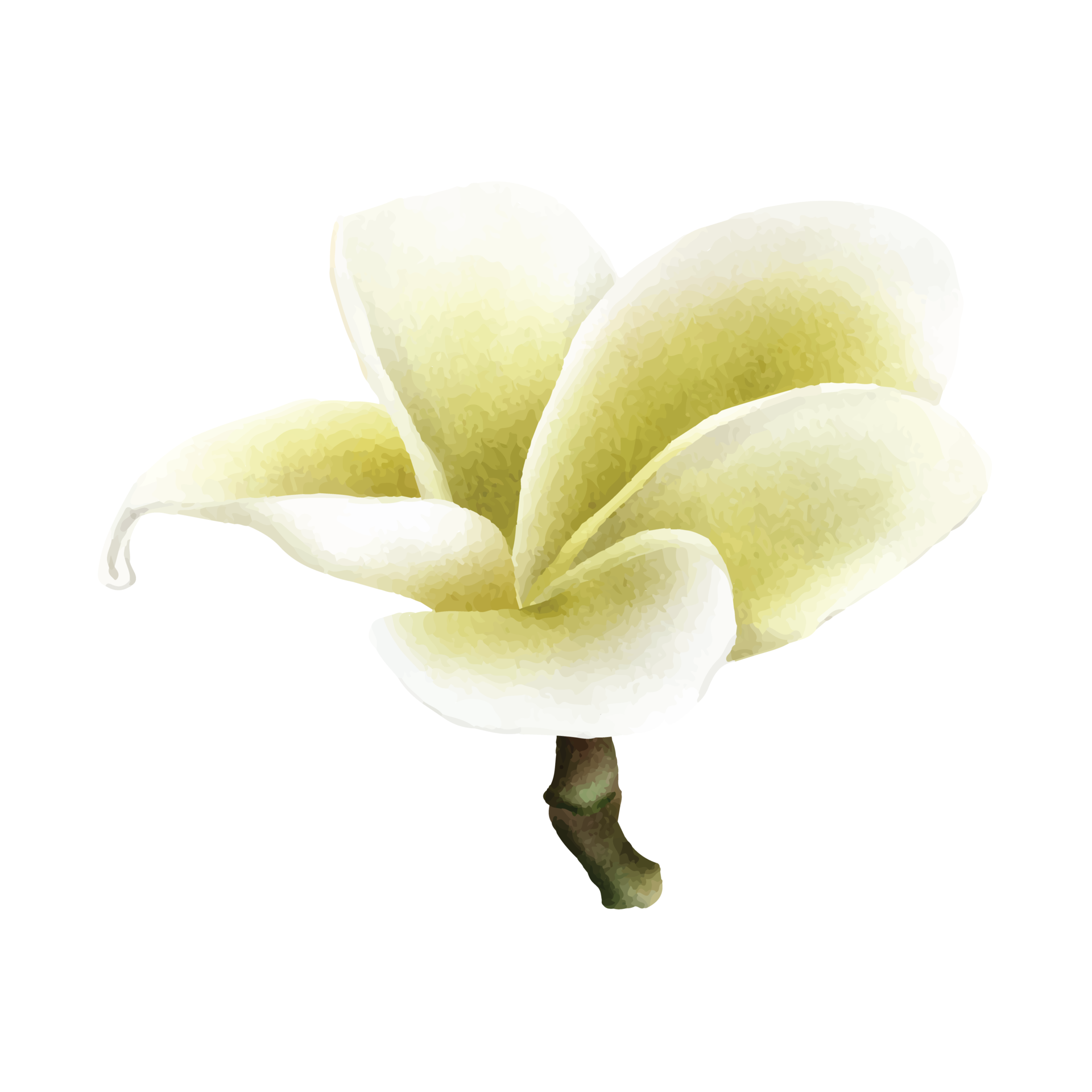 hand-drawn-tropical-floral-sticker-collection-24959909-png