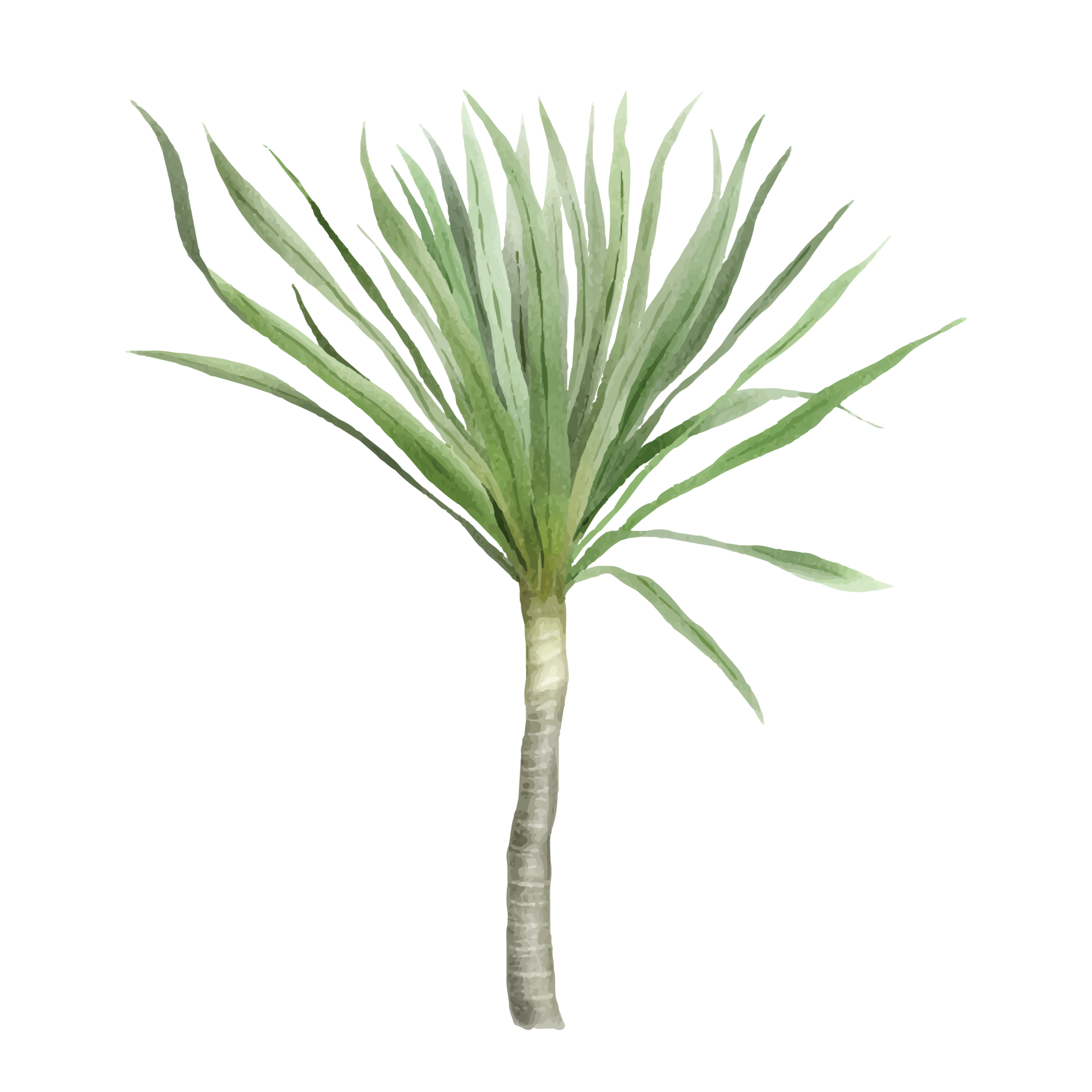 hand-drawn-tropical-floral-sticker-collection-24959912-png