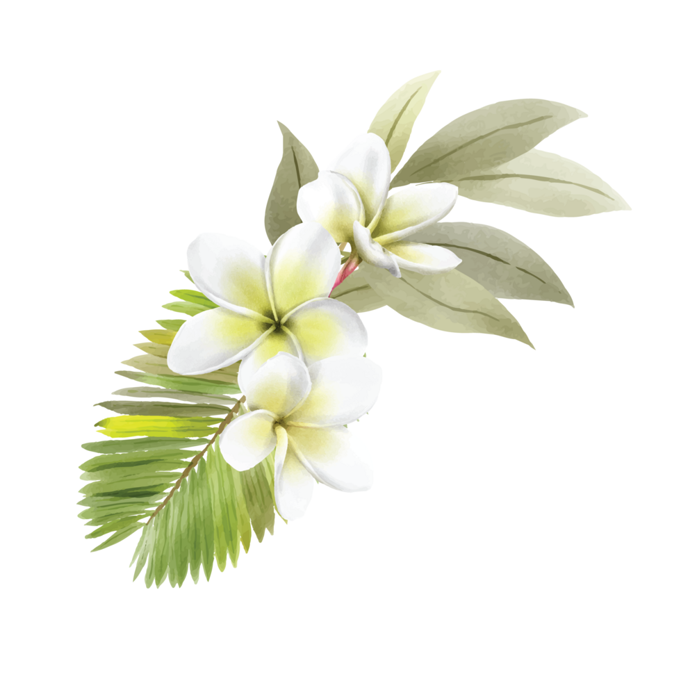 hand drawn tropical floral sticker collection png