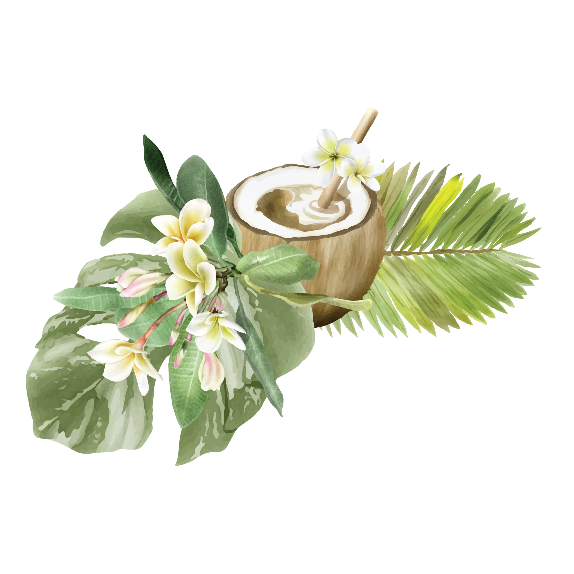 hand-drawn-tropical-floral-sticker-collection-24959930-png