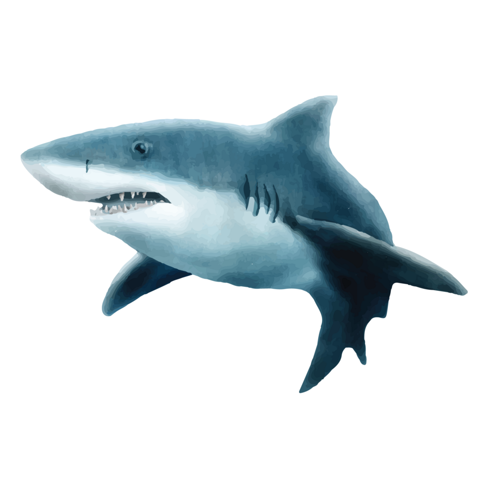 sea life watercolor sticker collection png
