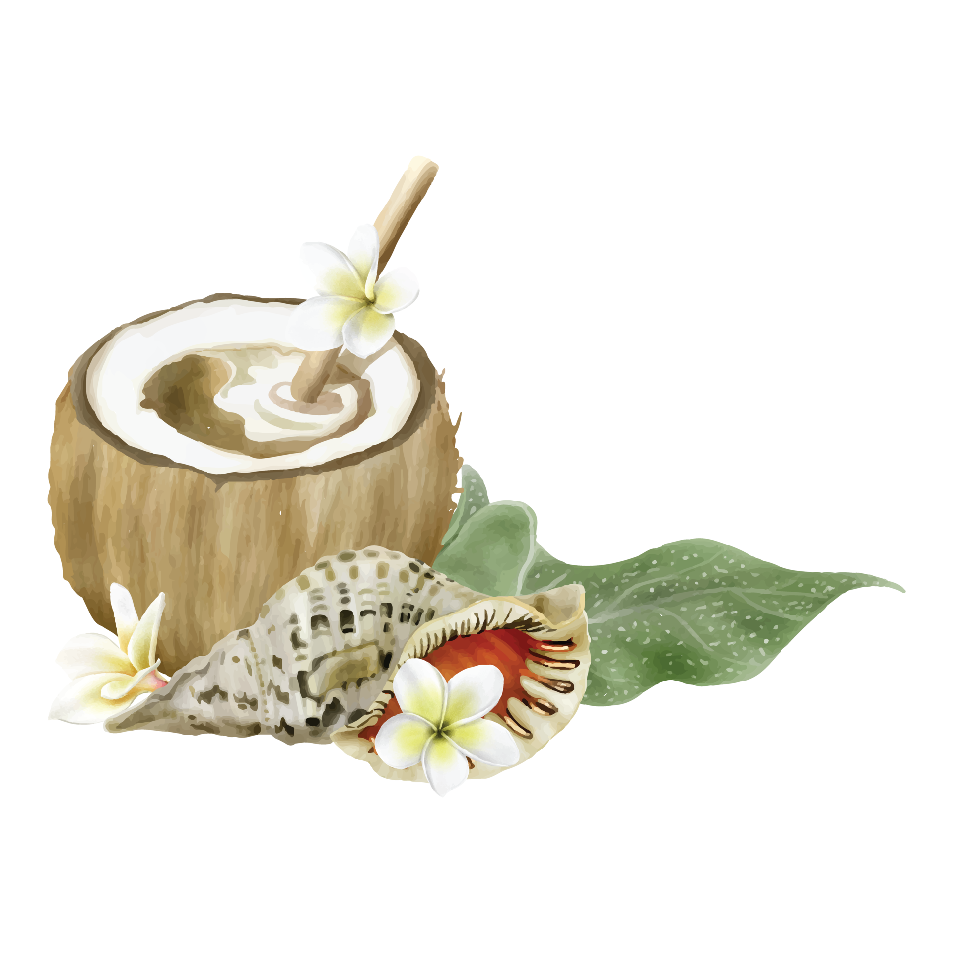 hand-drawn-tropical-floral-sticker-collection-24959943-png