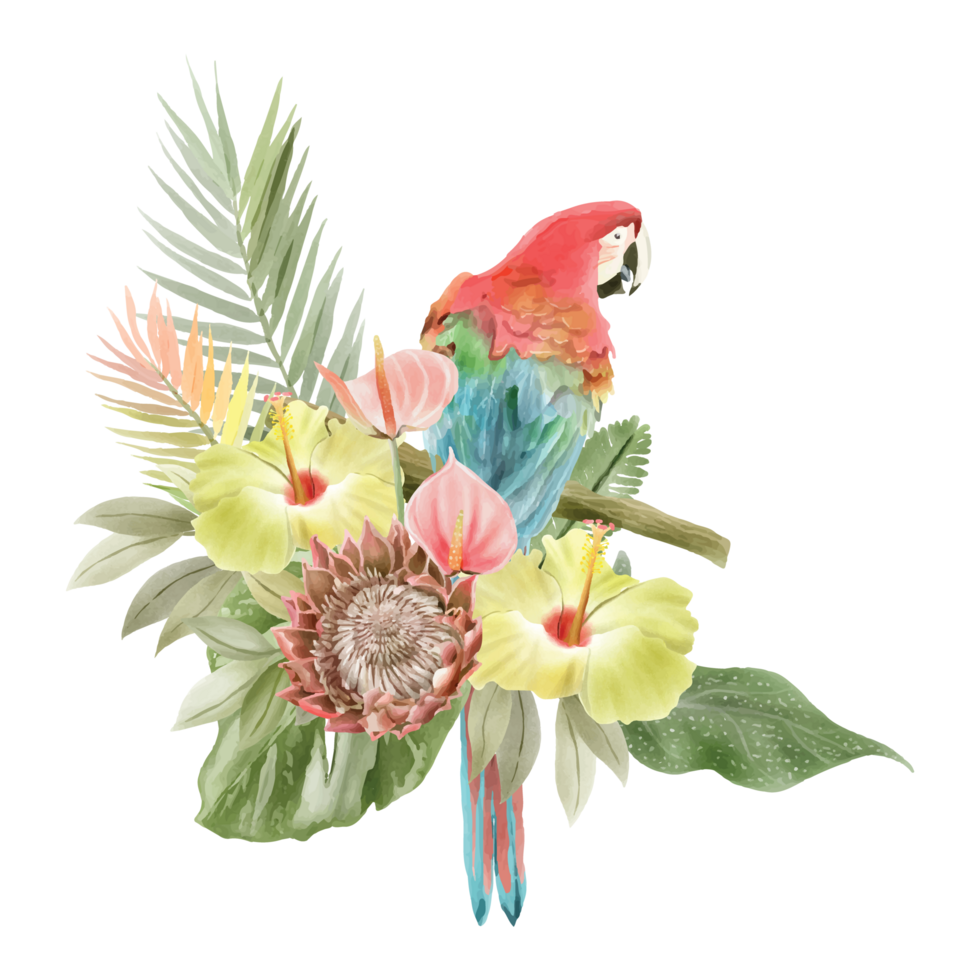 hand drawn tropical floral sticker collection png