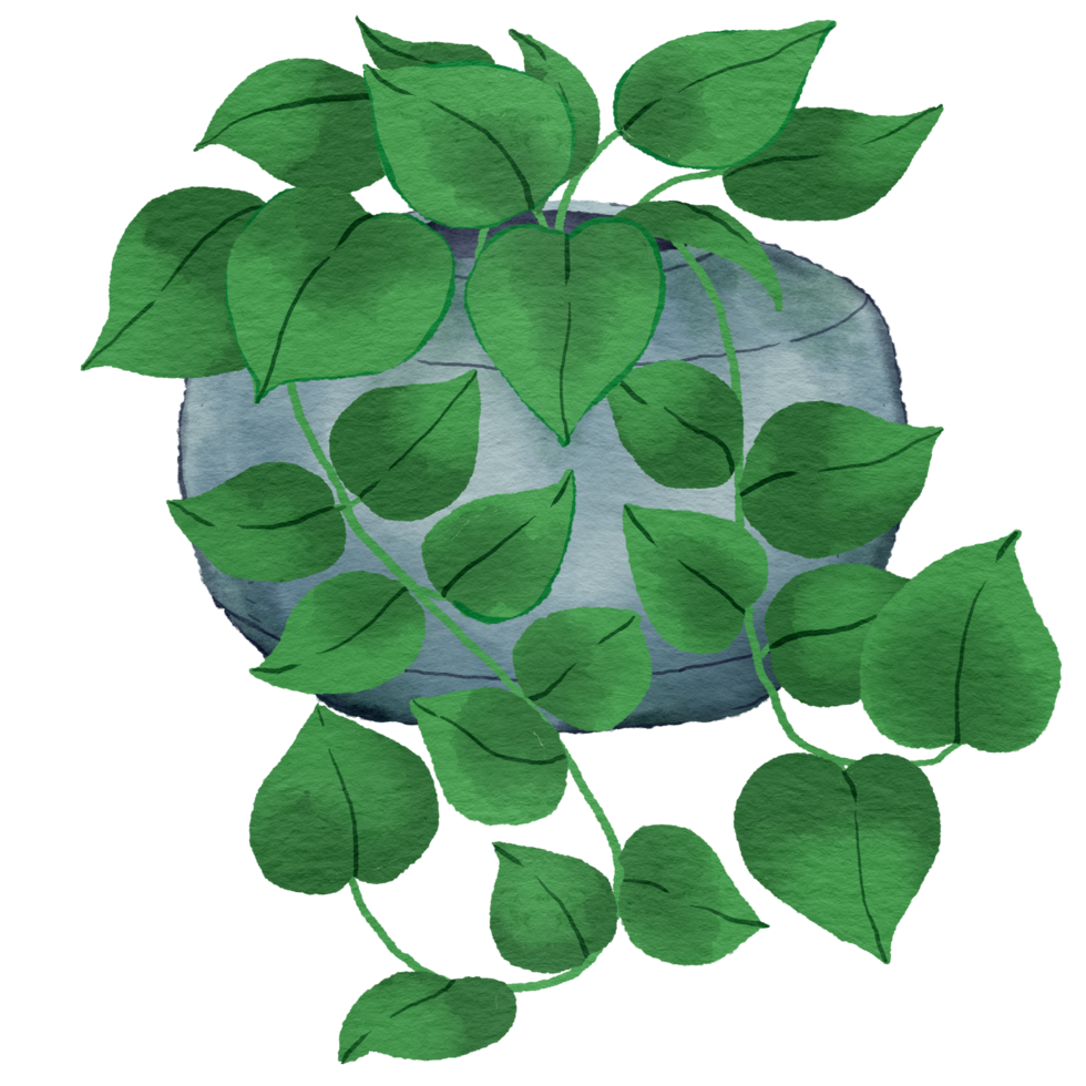 Hem inlagd växter. krukväxter i växt krukor, blomma inlagd växt, grön löv interiör dekoration isolerat vattenfärg illustration transparent. png