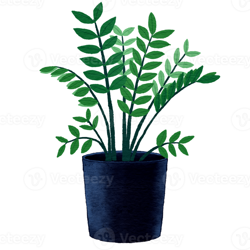 casa in vaso impianti. piante d'appartamento nel pianta pentole, fiore in vaso pianta, verde le foglie interno decorazione isolato acquerello illustrazione trasparente. png