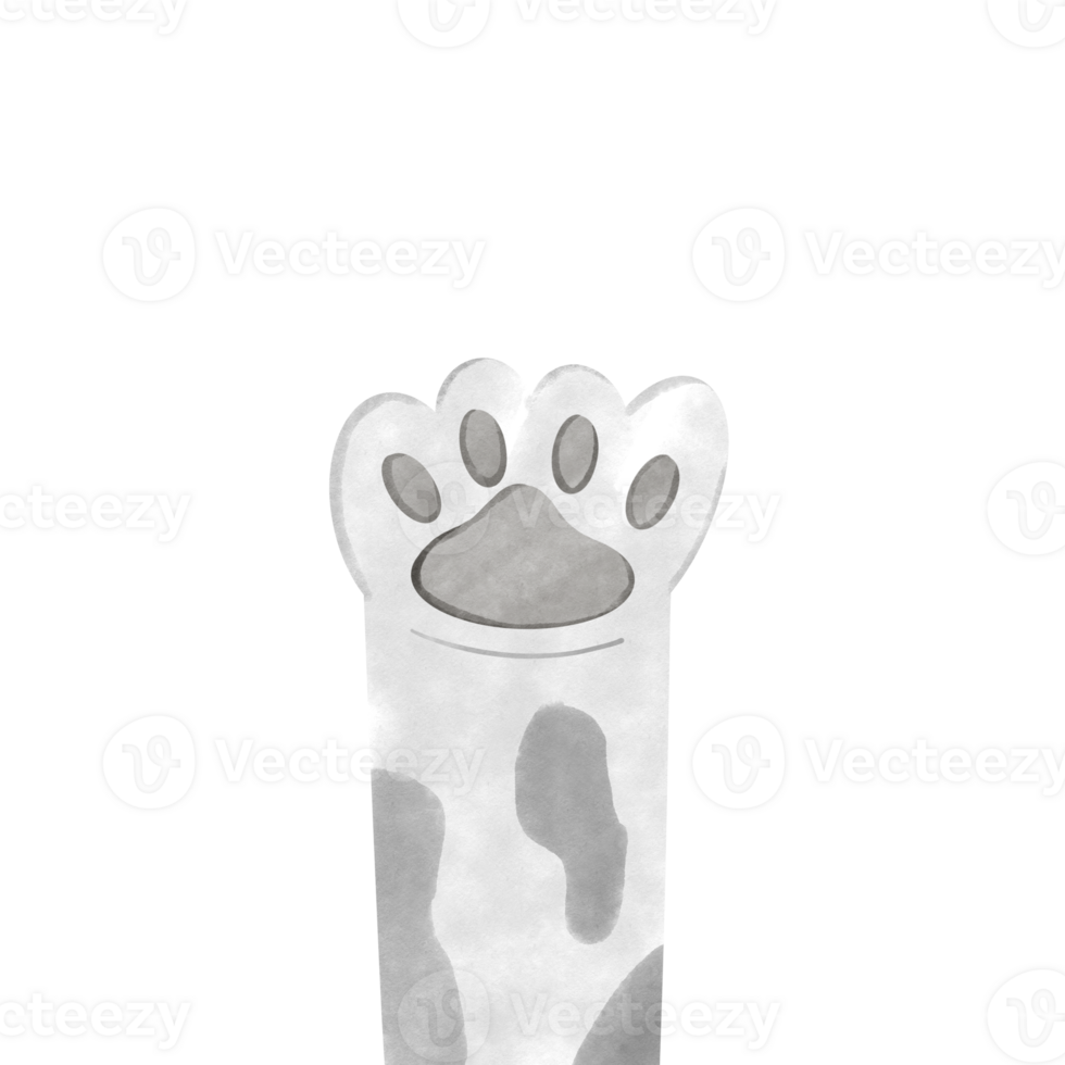 Cat foot Cutie png