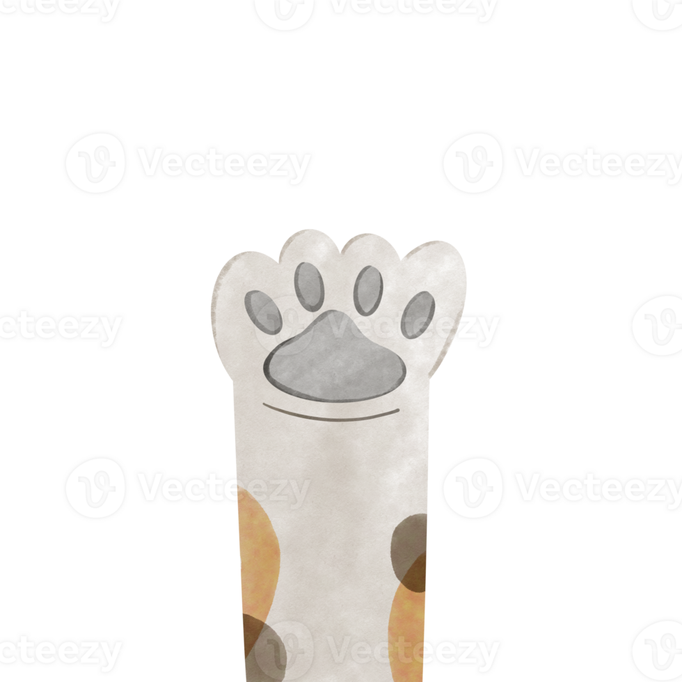 Cat foot Cutie png