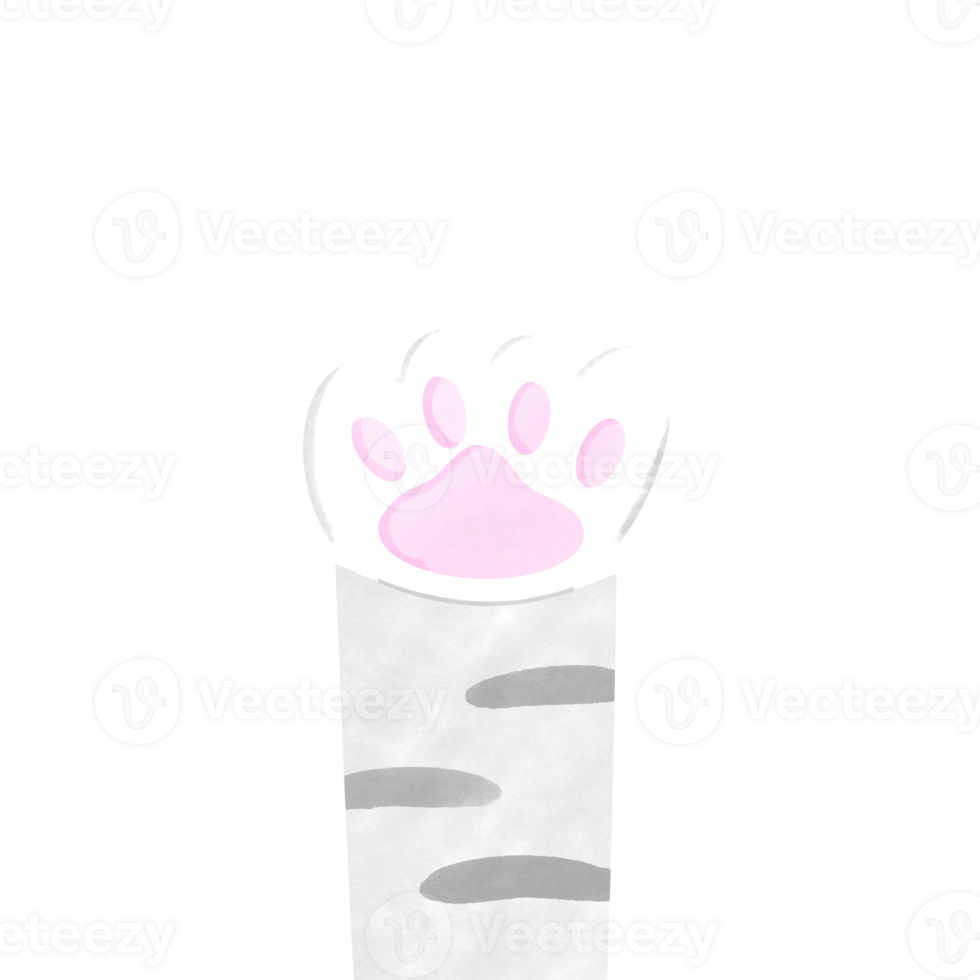 Cat foot Cutie png