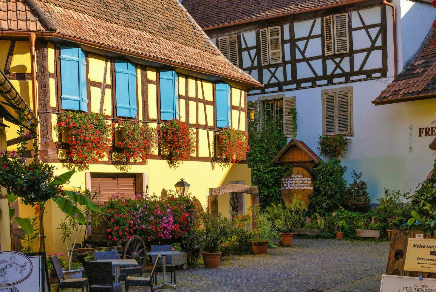 paisaje de Alsacia región en Francia foto