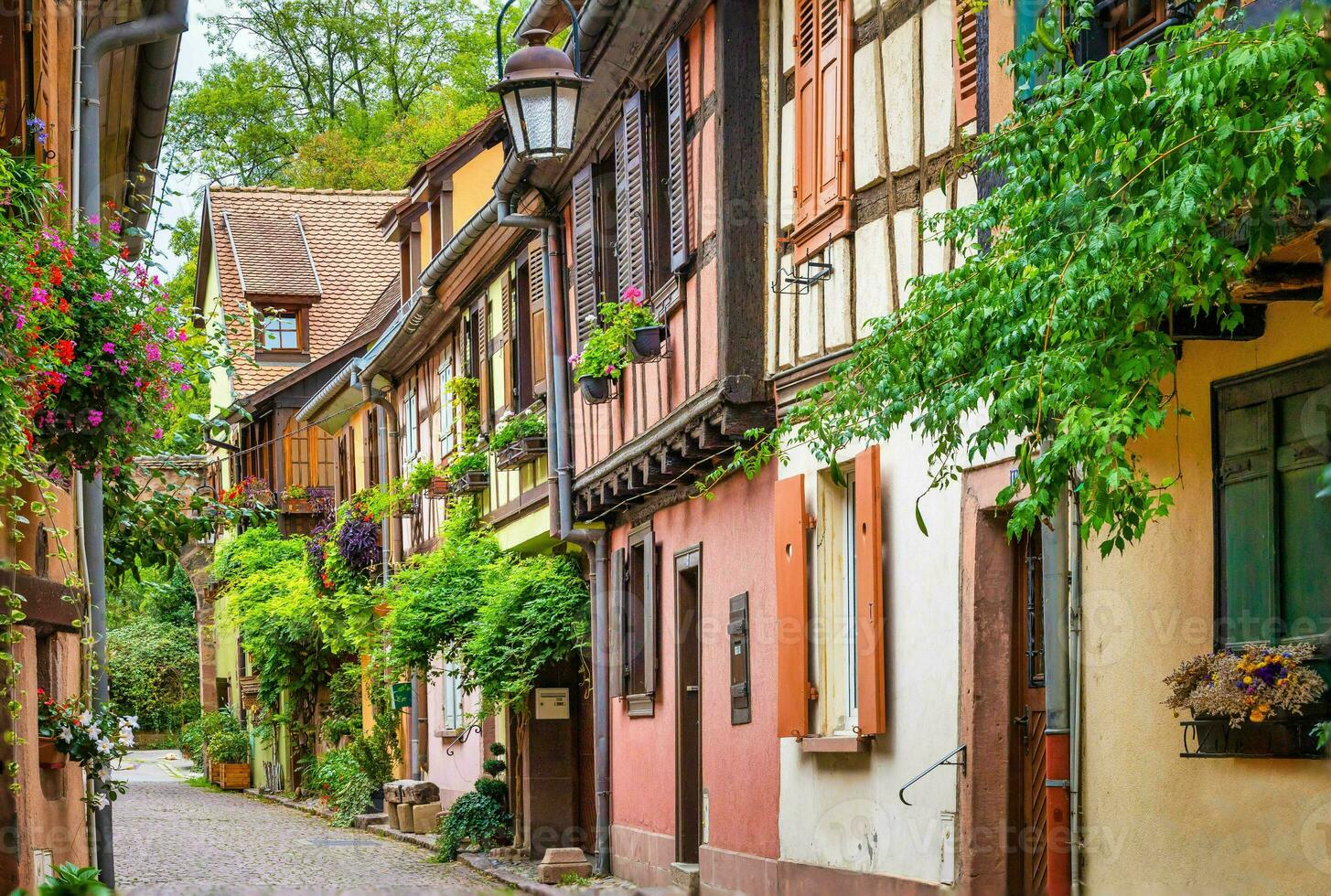 Scenery of Alsace region in France photo