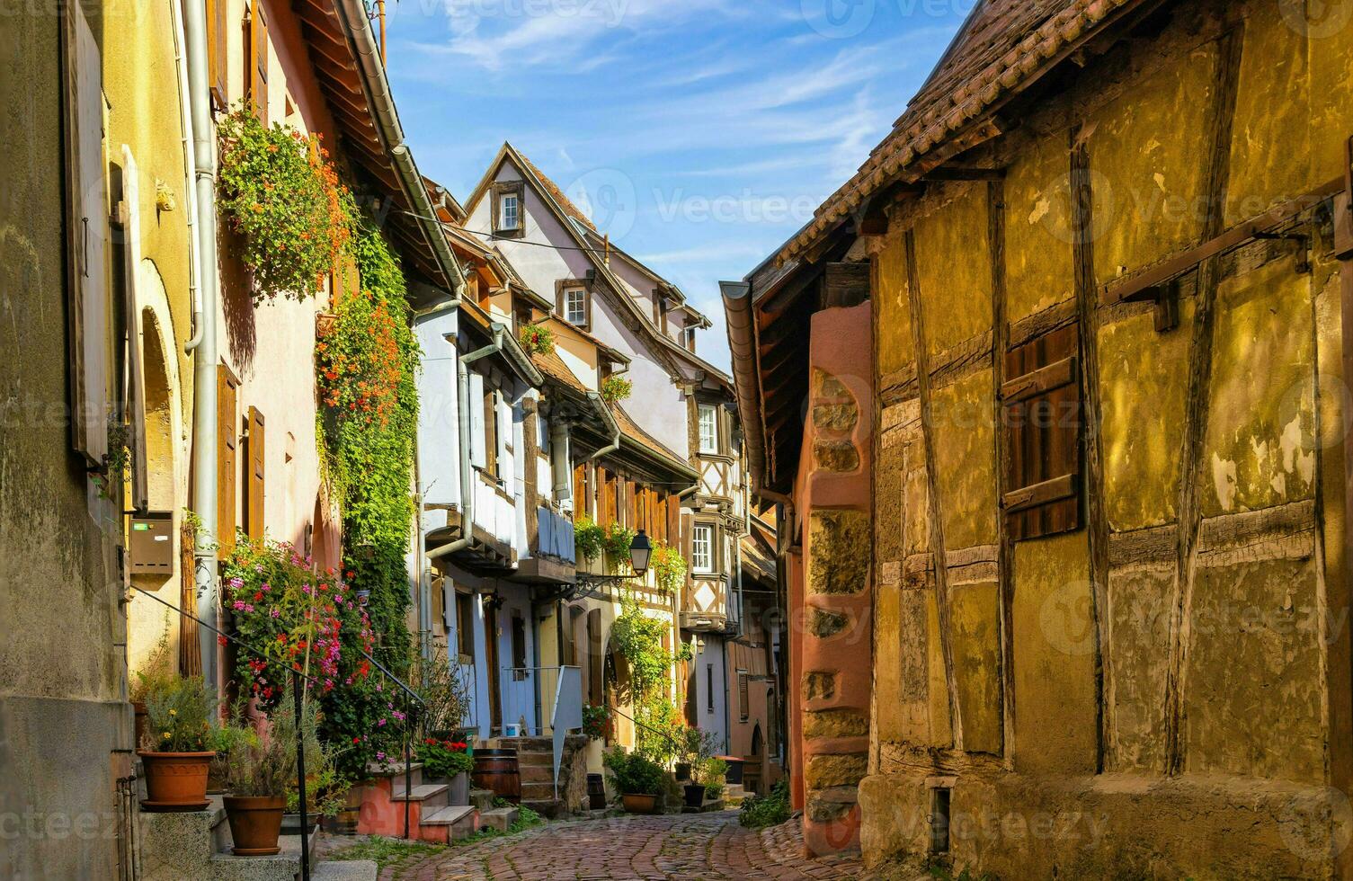 paisaje de Alsacia región en Francia foto