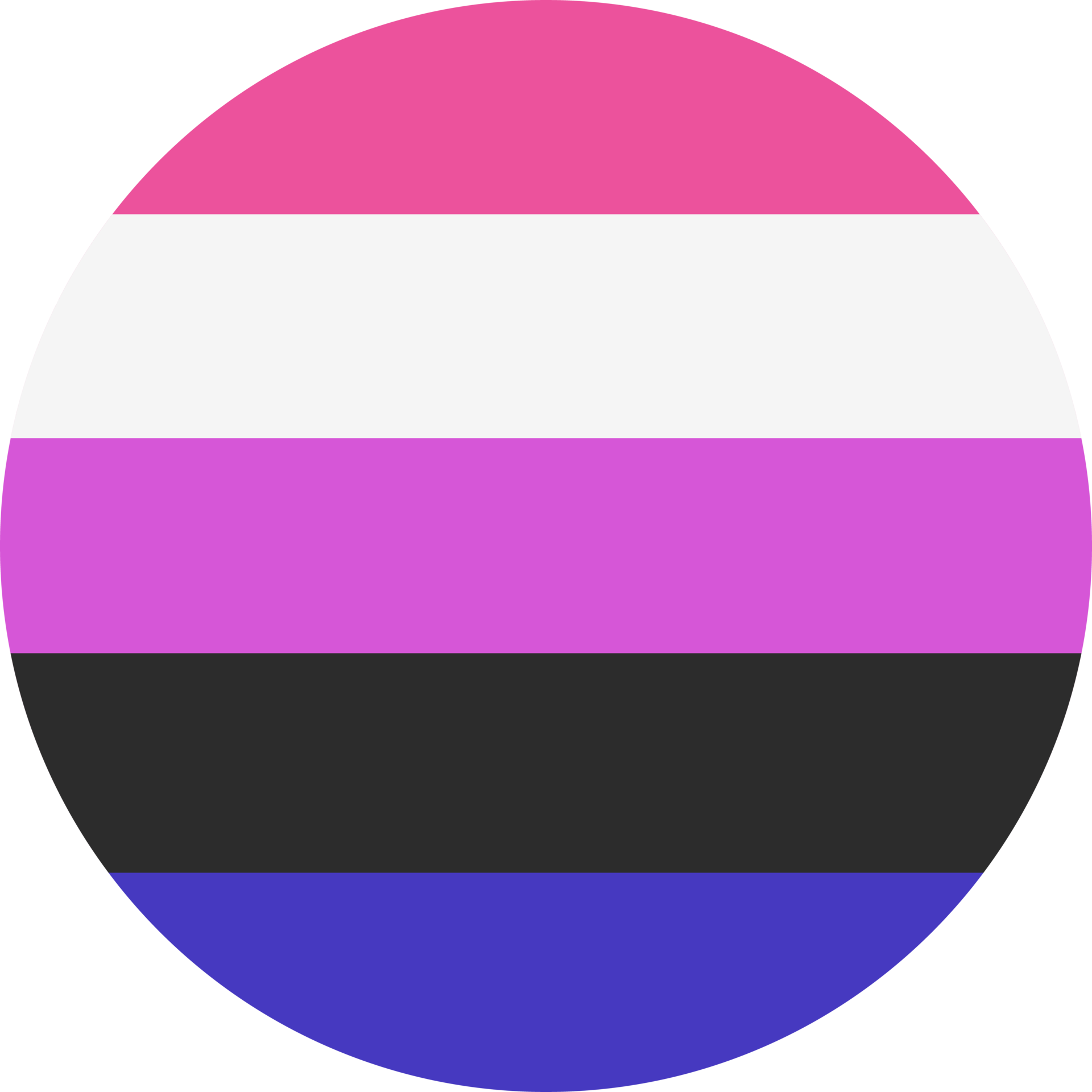 Gender fluid round flag. LGBT community symbol. Flag of sexual minorities.  Png illustration. 24960457 PNG