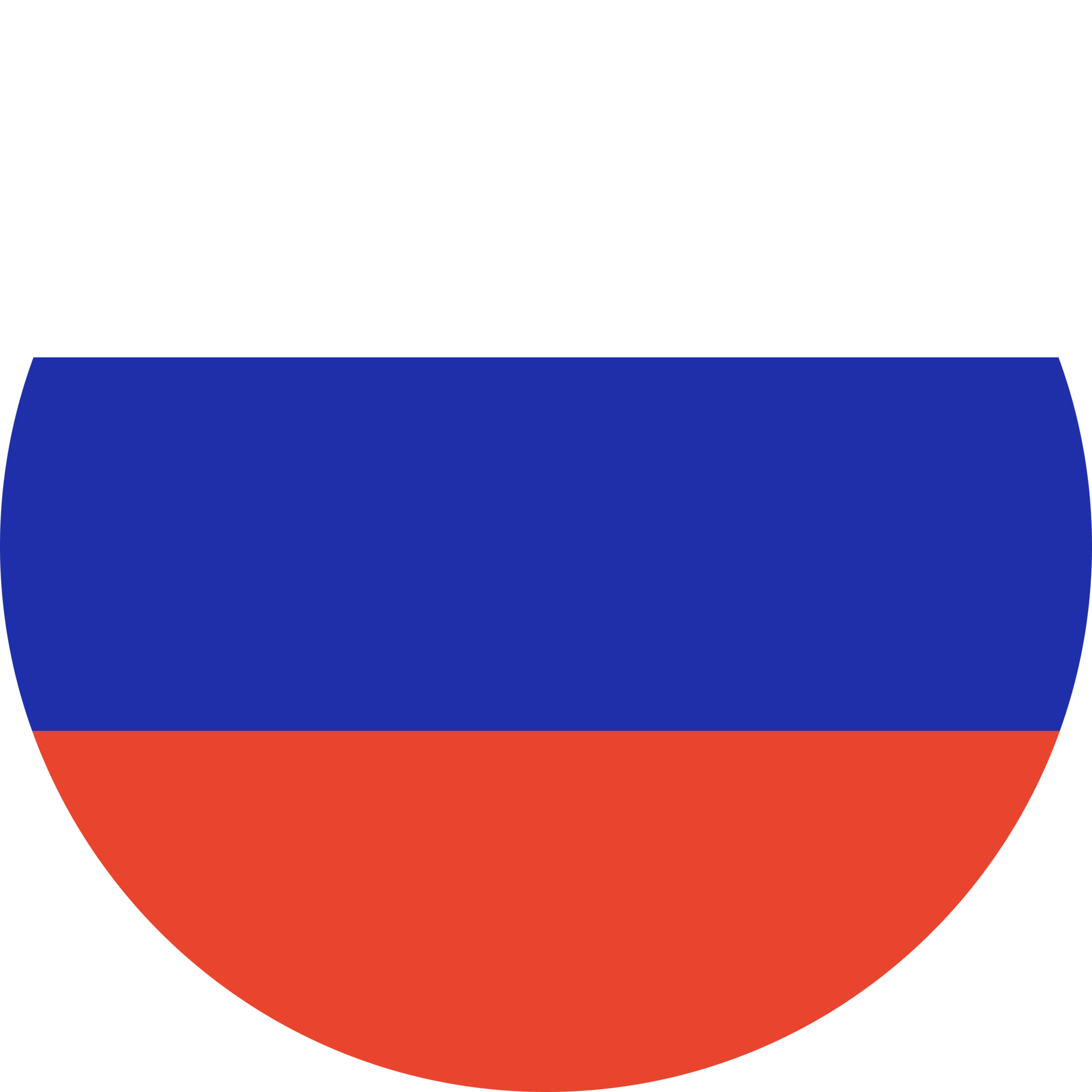 Russia Flat Rounded Flag Icon with Transparent Background 16328914 PNG