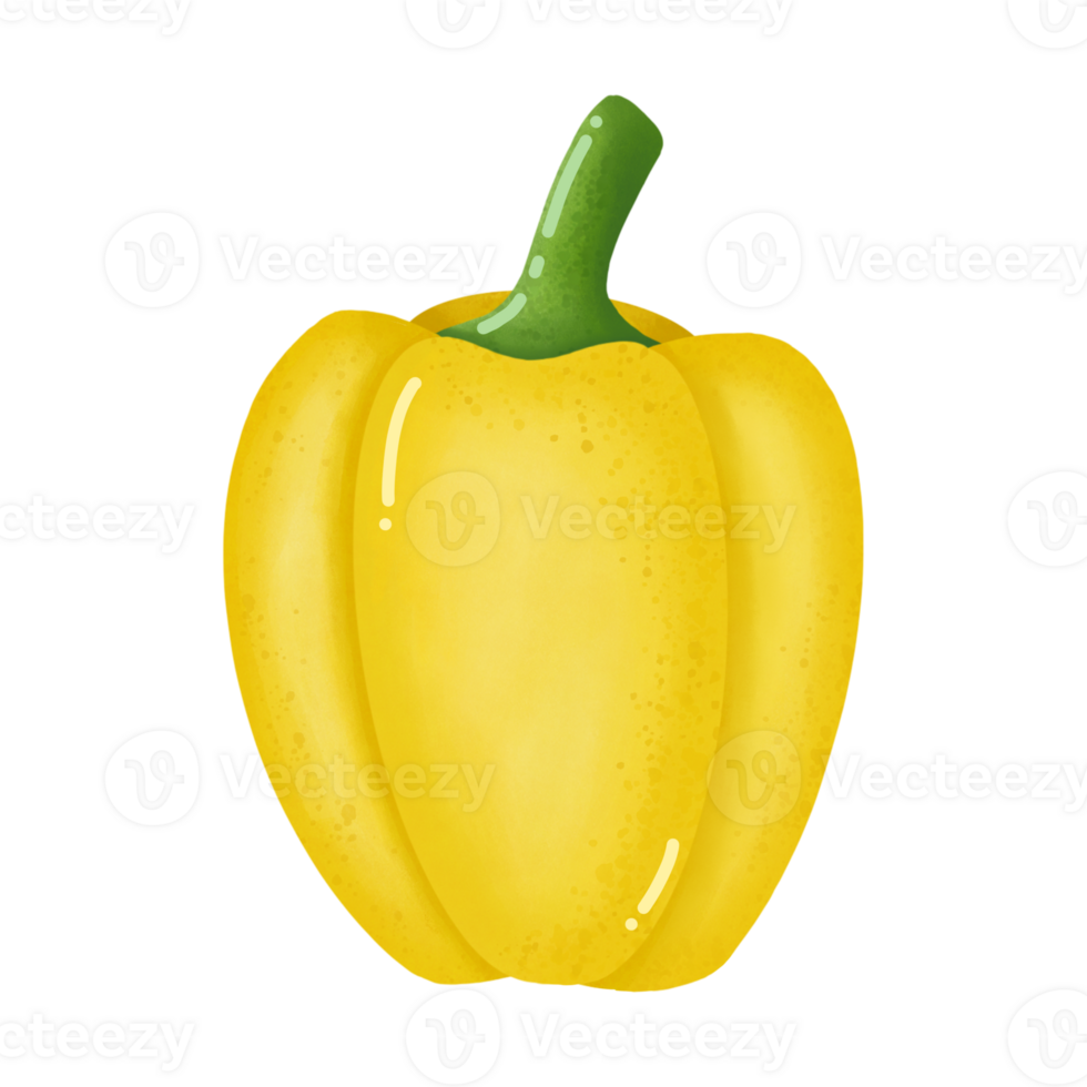 yellow bell pepper cartoon drawing png