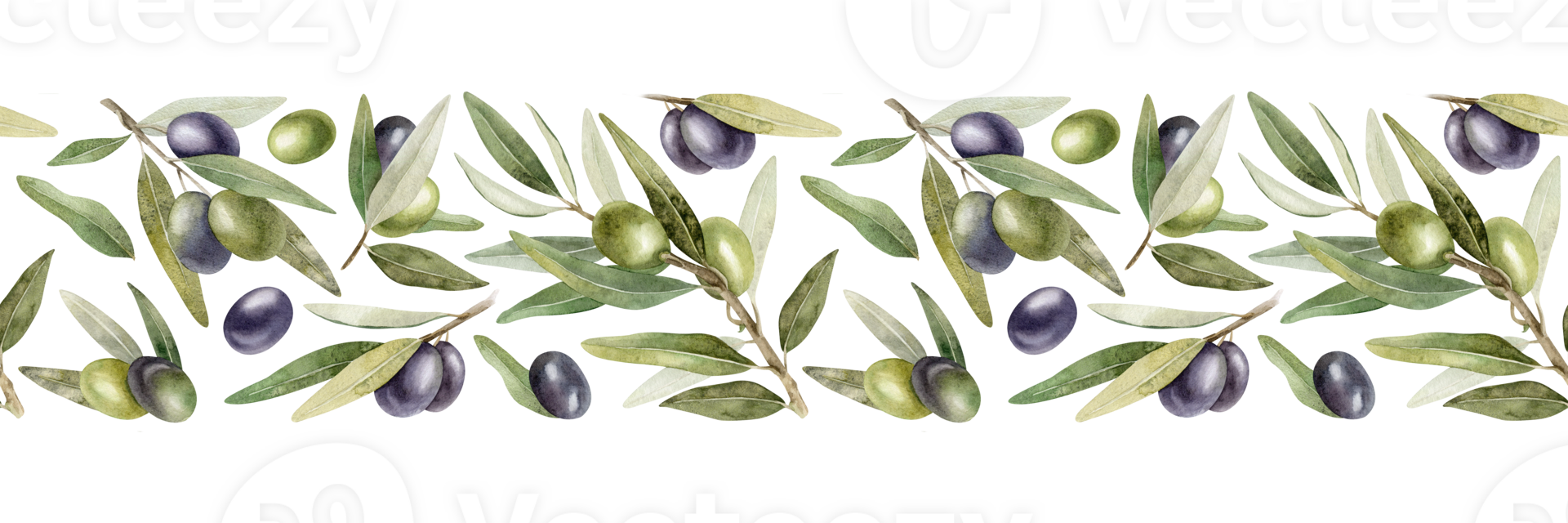 oliv grenar, löv och frukter. sömlös gräns av grenar oliv träd. vattenfärg hand dragen illustration. för meny, förpackning design, bröllop inbjudan, spara de datum eller hälsning kort. png