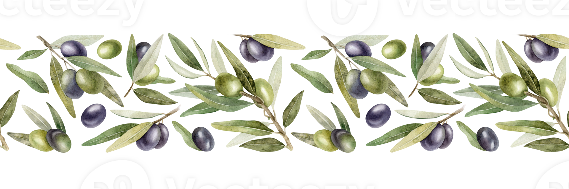 Olive branches, leaves and fruits. Seamless border of branches olive tree. Watercolor hand drawn illustration. For menu, packaging design, wedding invitation, save the date or greeting card. png