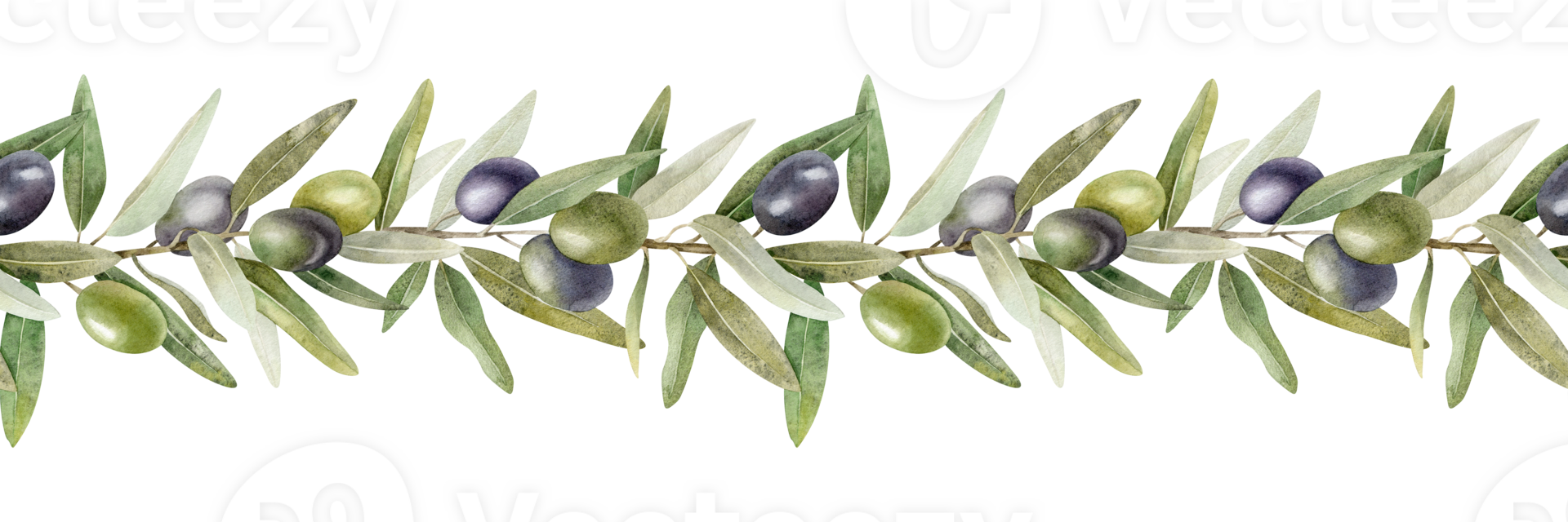 Olive branches, leaves and fruits. Seamless border of branches olive tree. Watercolor hand drawn illustration. For menu, packaging design, wedding invitation, save the date or greeting card. png