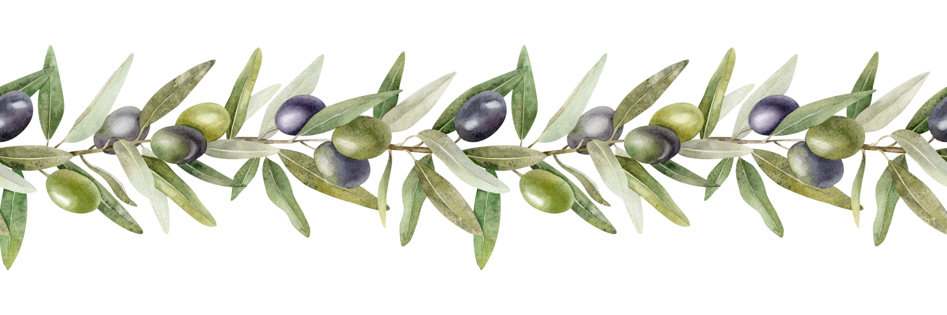 Olive branches, leaves and fruits. Seamless border of branches olive