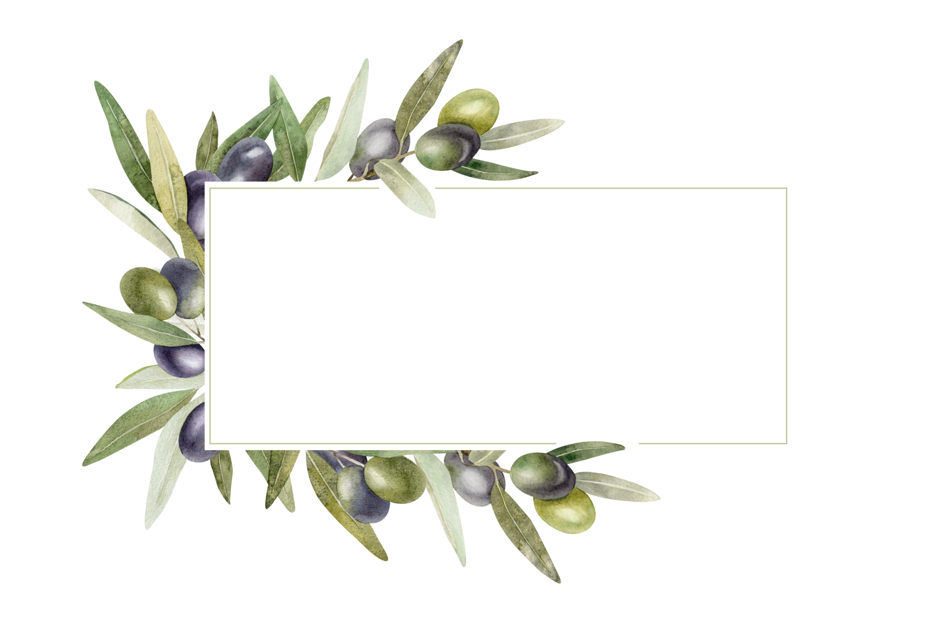 Olive branches, leaves and fruits. Wreath of branches olive tree