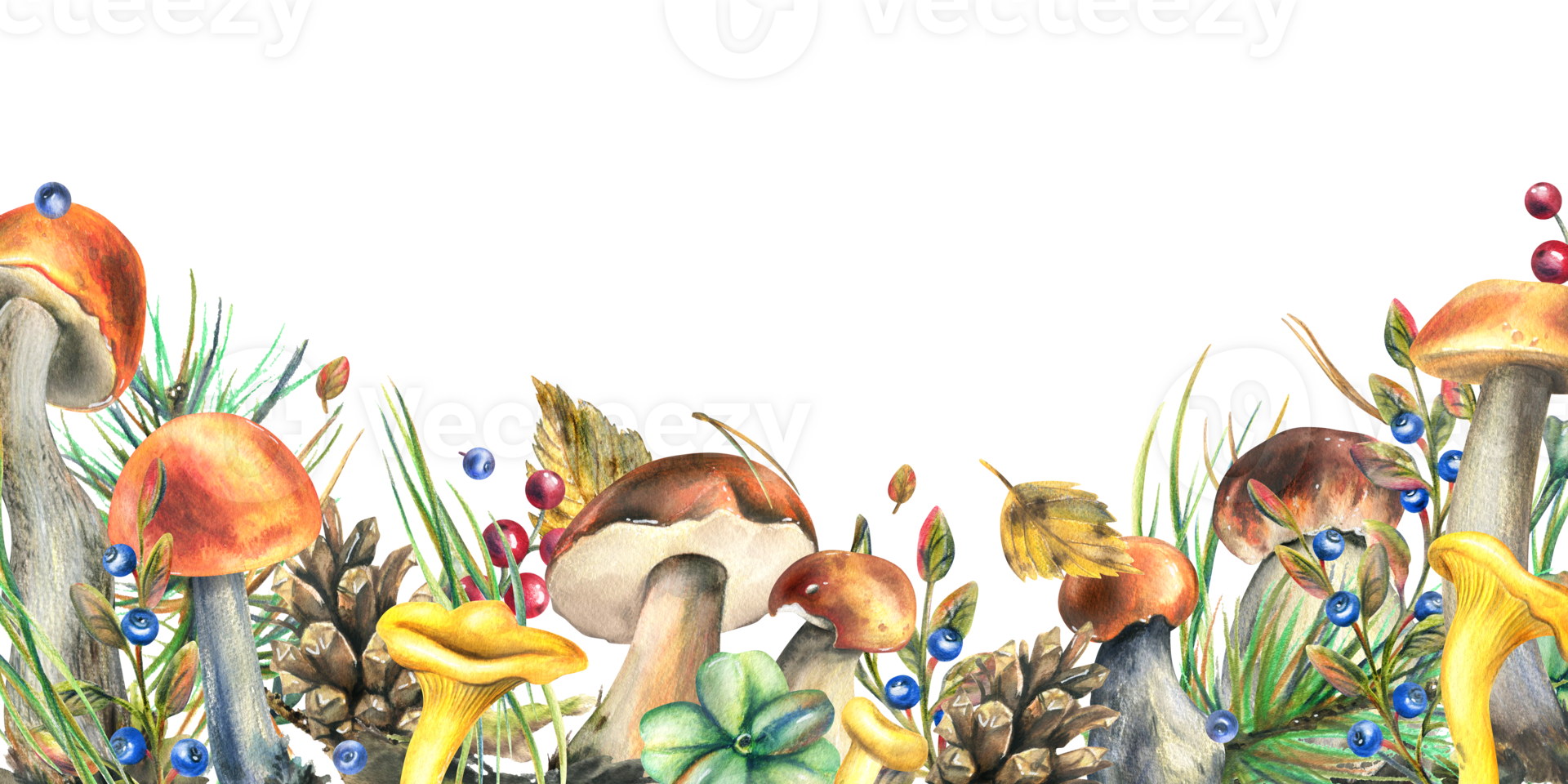 Forest mushrooms, boletus, chanterelles and blueberries, lingonberries, twigs, cones, leaves. Watercolor illustration, hand drawn template png