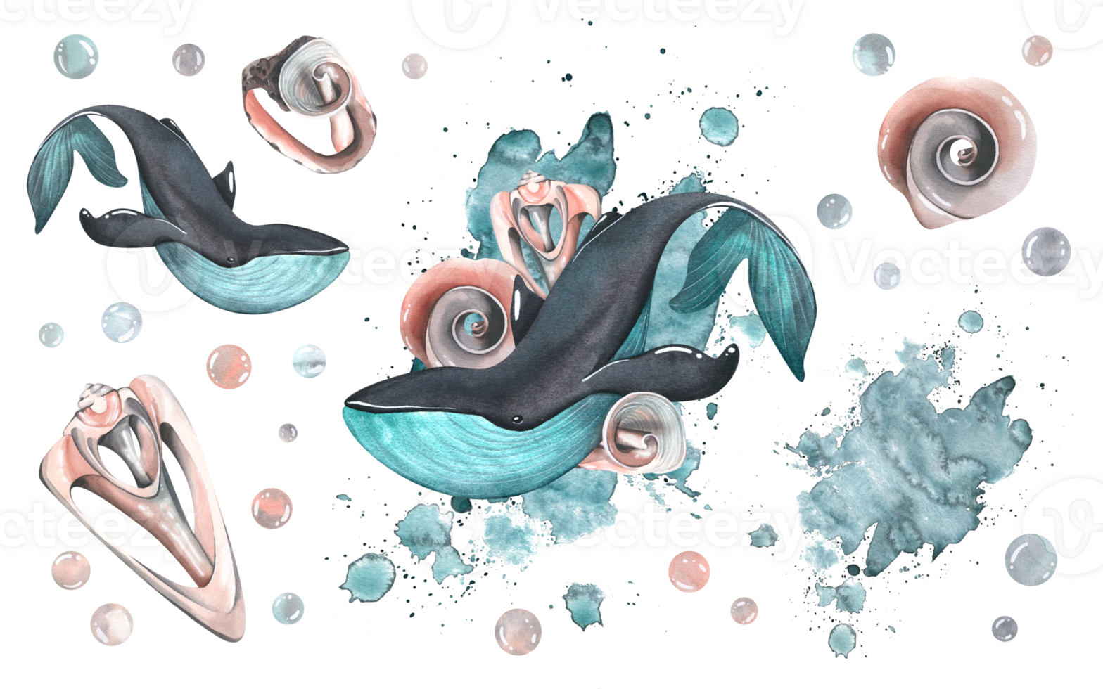 A whales with coral shells, bubbles and a turquoise spot of watercolor. Watercolor illustration hand drawn. A set composition with elements png