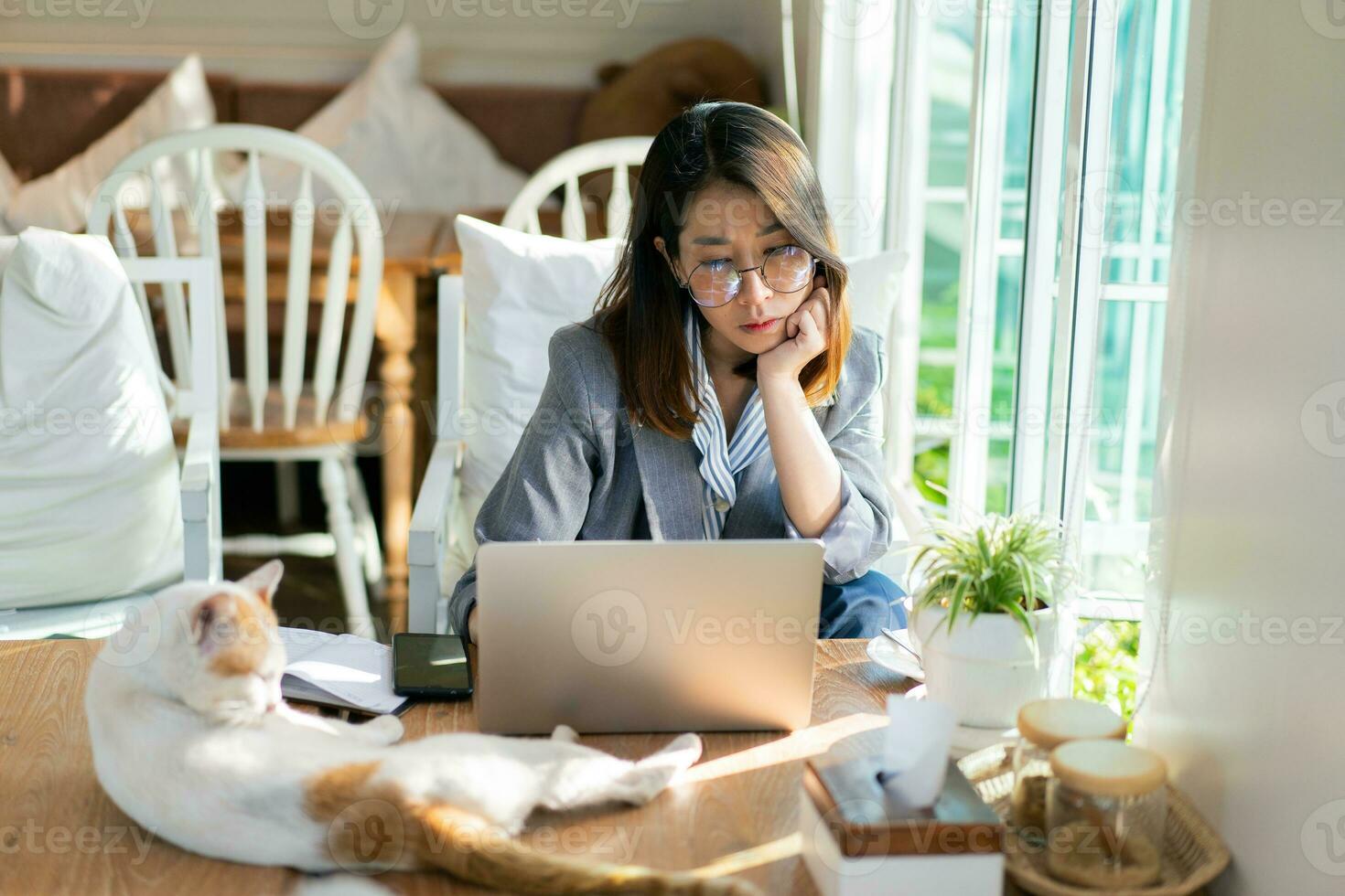 Asian business woman thinking for ideas and using laptop working on desk in the cafe. Business woman work and play with white cat on the table. photo